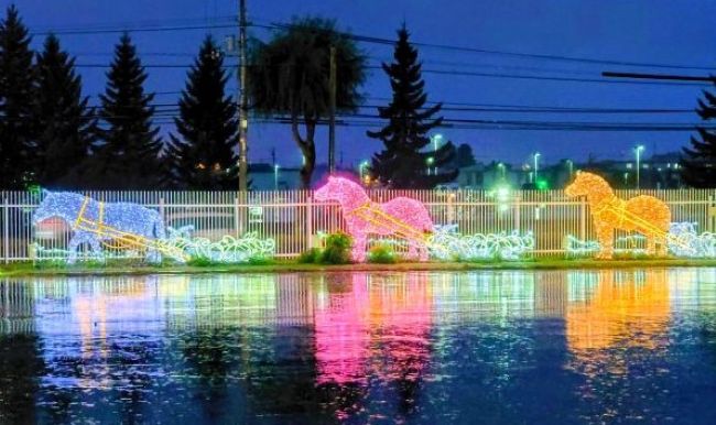 夜のイルミネーション