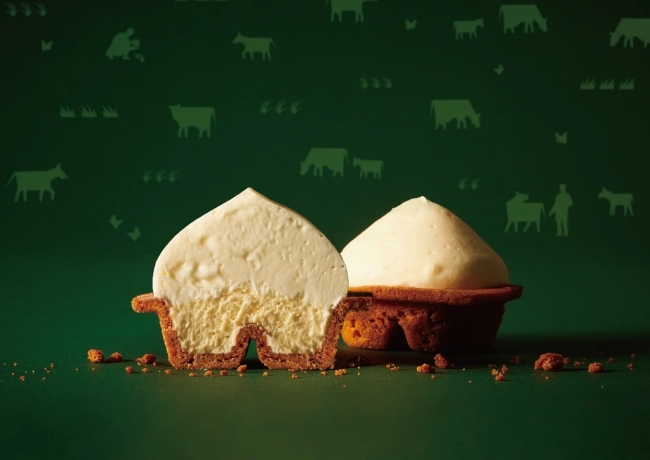 CHEESE WONDER POP UP STORE