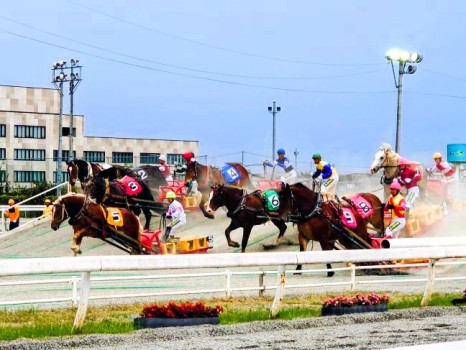 スタート直後のばん馬