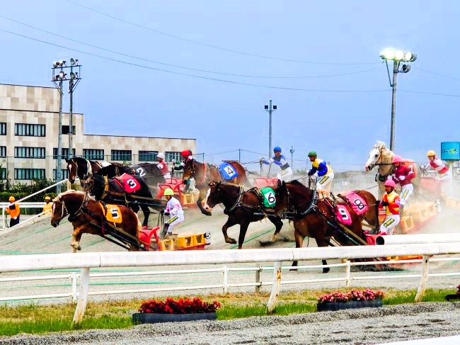 スタート直後のばん馬
