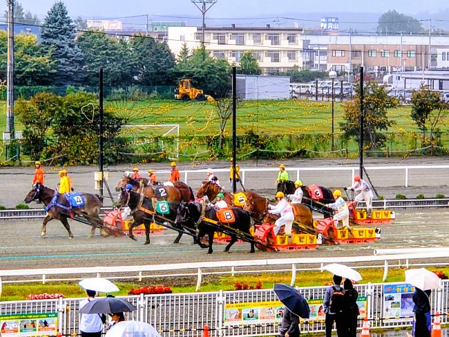 エキサイティングゾーン