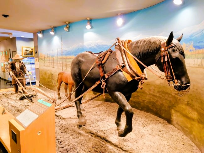 馬の資料館