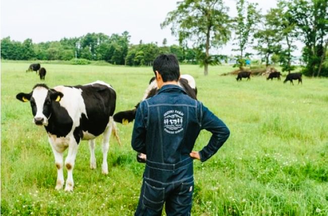 鈴木牧場の牛