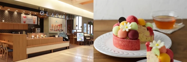 グラッシェル　札幌ステラプレイス店