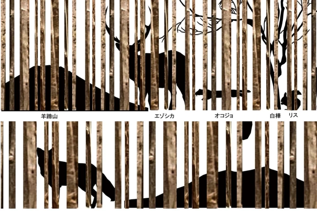 【ニセコノーザンリゾート・アンヌプリ】の温泉併設サウナ