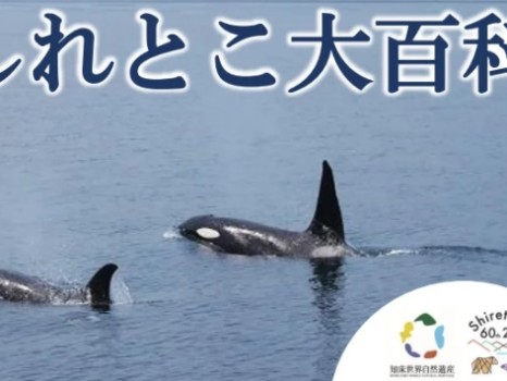 しれとこ大百科