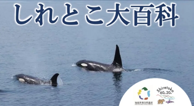 しれとこ大百科