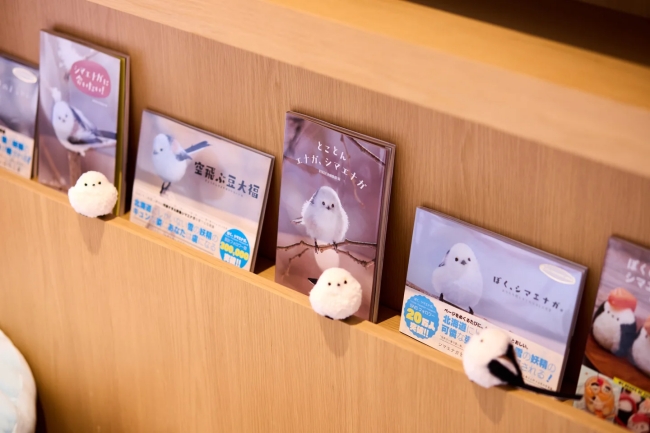 シマエナガ　ミニライブラリー