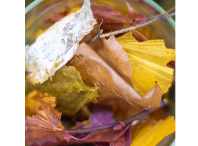 ホワイトティー フレグランスポプリ