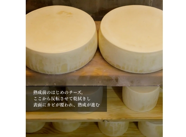はじめのチーズ ホール５kg（6か月熟成）