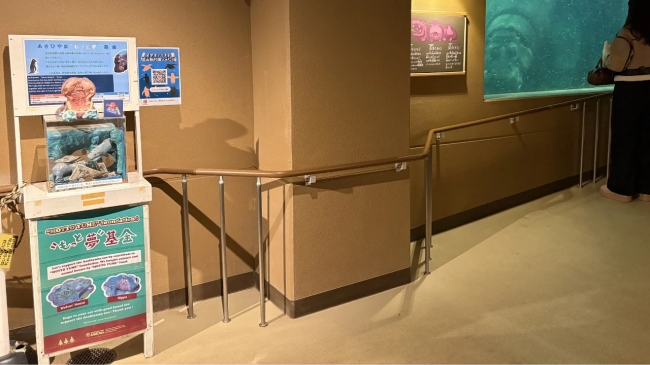 「PayPay」による募金受付