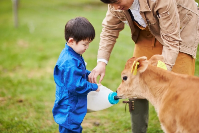 お仕事体験～酪農家編～