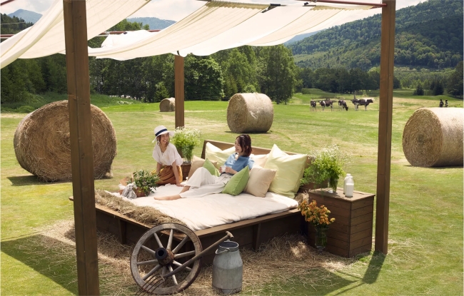 牧草ベッド（イメージ）