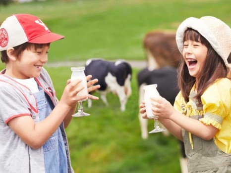 星野リゾート　トマム