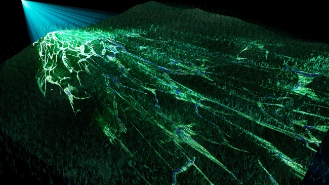 光が織りなす空間演出