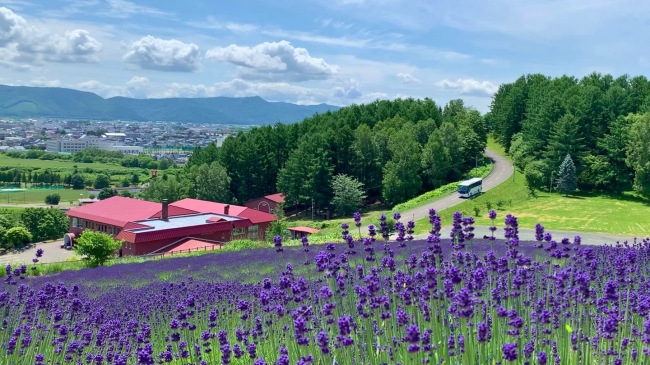 富良野