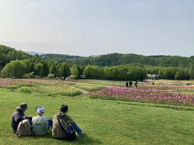富山×滝野　たきのチューリップDay