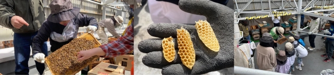 昨年開催されたサッポロ・ミツバチ・プロジェクトの様子