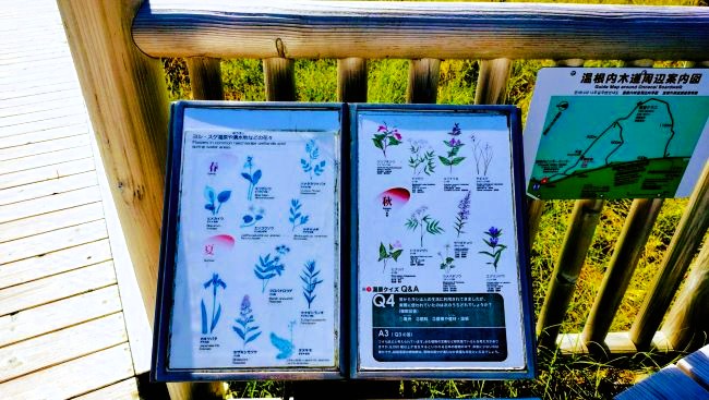 植物を紹介する解説板