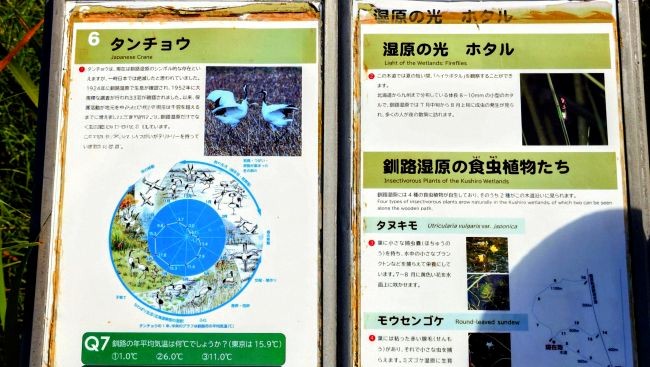 タンチョウとホタルの解説板