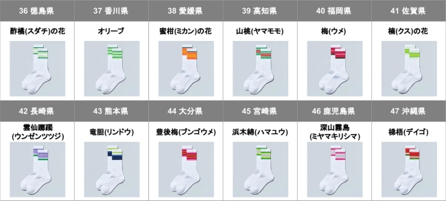 四国・九州・沖縄