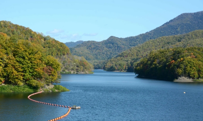 金山湖